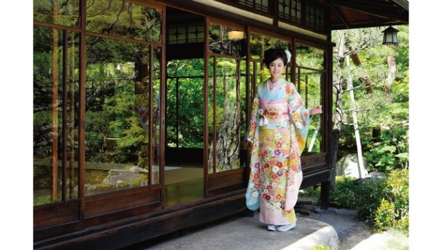 大人気古典柄もたくさん揃ってます