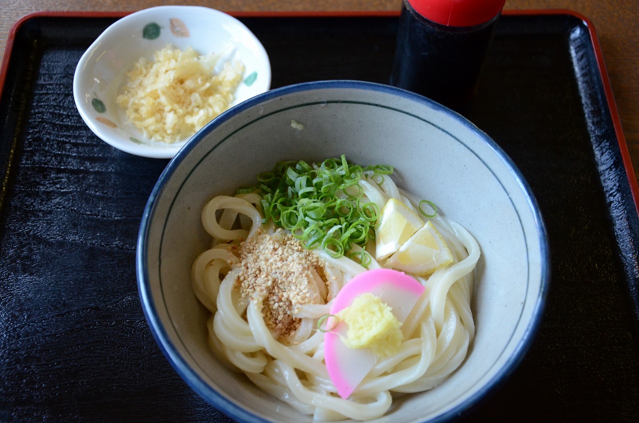 しょうゆうどん