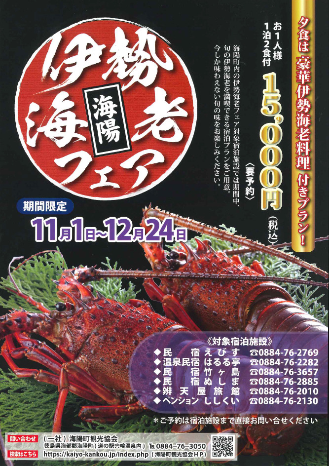 鳴門 冬のイルミネーション2014