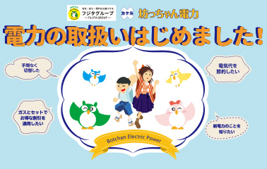 坊ちゃん電力